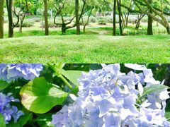 -人民公园(罗湖区)