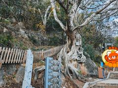 -抚仙湖禄充风景区
