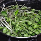 鸡胗拌豆苗