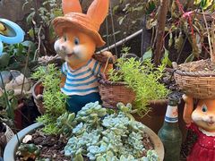 -鱼乐岛餐厅·户外花园主题餐厅