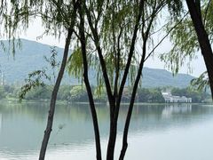 -长广溪湿地公园