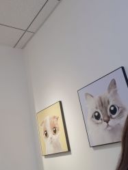 -洗脸猫·洗脸吧