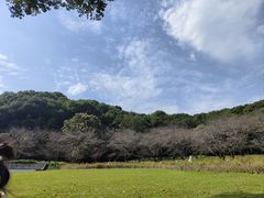 -苏州上方山国家森林公园