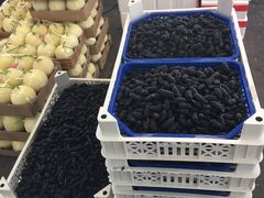 -西郊国际农产品交易中心