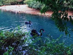 -长白岛森林公园