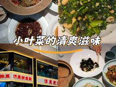 -洞庭家宴·头牌甲鱼(广渠门店)