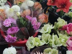 -王四营海鲜市场