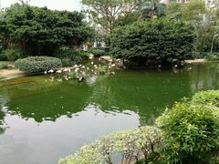 -九龙公园