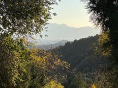 -北京十三陵国家森林公园蟒山景区