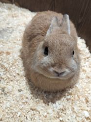 -Zoolung Zoolung动物主题公园(海信广场店)