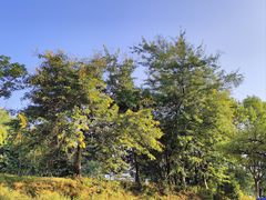 -华南师范大学(广州大学城校区)