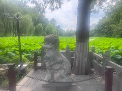 -包公祠