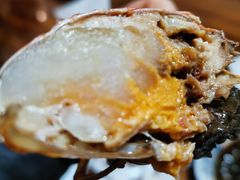 -呼吸森林·生态农庄农家乐私房菜