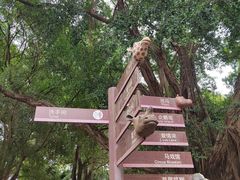 -深圳野生动物园