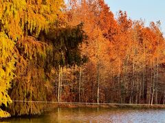 -上海海湾国家森林公园