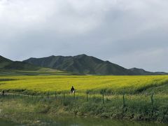 -扁都口生态休闲旅游区