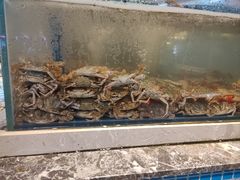 -一方渔歌蒸汽海鲜自助(文化路万达广场店)