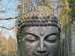 -杭州植物园