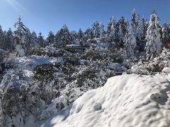 -瓦屋山景区