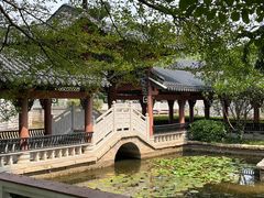 -广东花都湖国家湿地公园