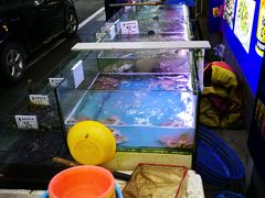-金海湾海鲜排档(朱家尖店)