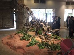 -自贡恐龙博物馆