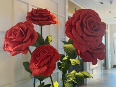 -22ºN BISTRO西餐&酒馆(石奥商业街店)