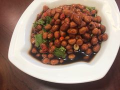 -普集烧鸡(新店)
