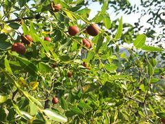 -蟠龙山长城景区