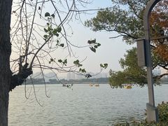 -洋湖国家湿地公园