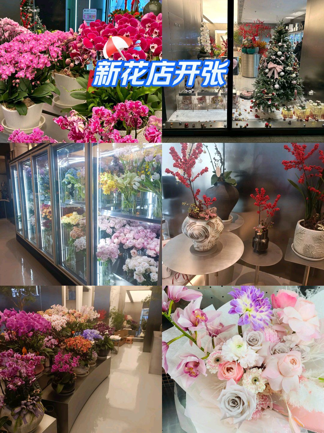 花店攻略#生日花#好看的花一定要分享给你#鲜花蛋糕#每周一花#爱生活