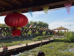 -同銮特种养殖场·龙虾垂钓