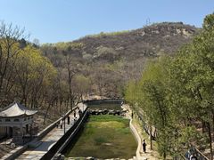 -白水寺森林公园