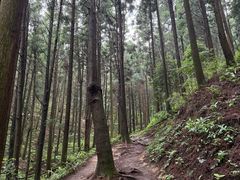 -南岳衡山风景名胜区