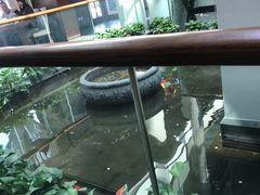 -旺顺阁鱼头泡饼(小红门店)