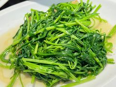 -长平肥姐白粥·海鲜打冷