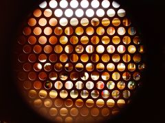 -二酉书店TOYOU BOOKS