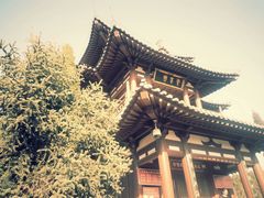 -西安青龙寺遗址景区