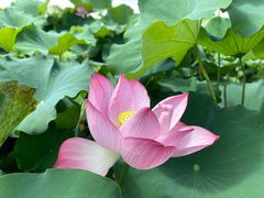 -古田会议纪念馆