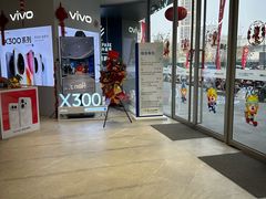 -苏宁易购(Suning Pro南京山西路店)