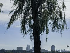 -长春市南湖公园