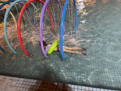 -栢岛湖水上乐园