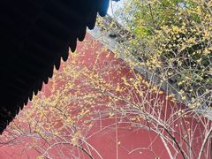 -钱王祠