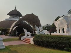 -清迈夜间动物园