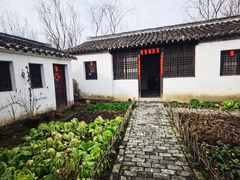 -溱湖国家湿地公园