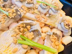 普宁豆瓣焗大黄鱼-粤界(望京金辉店)