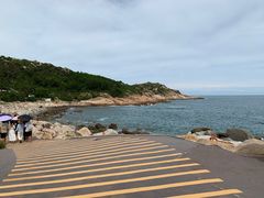 -广东惠东海龟国家级自然保护区