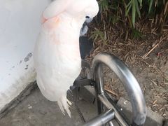 -四海楼(如皋定慧禅寺店)