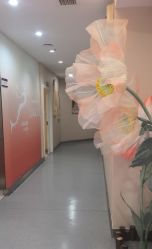 -美莱医学美容医院
