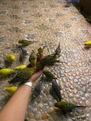 -酷嗒动物文化乐园(cutezoo西溪乐天城店)